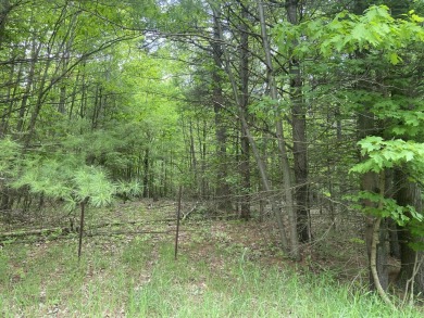 Now's your chance! This wooded 5-acre parcel on a paved road is on Springport Hills Golf Course in Michigan - for sale on GolfHomes.com, golf home, golf lot