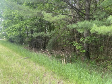 Now's your chance! This wooded 5-acre parcel on a paved road is on Springport Hills Golf Course in Michigan - for sale on GolfHomes.com, golf home, golf lot