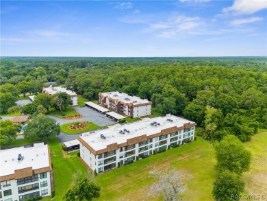 Discover Tranquility and Luxury in this Furnished Condo
Welcome on Sugarmill Woods Golf and Country Club in Florida - for sale on GolfHomes.com, golf home, golf lot