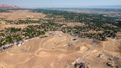 Discover a rare opportunity with unmatched scenery--these on The Golf Club At Redlands Mesa in Colorado - for sale on GolfHomes.com, golf home, golf lot
