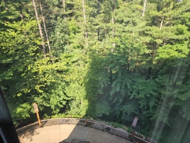 Beautiful 4th floor Condo facing the Wis. River. 2 fireplaces, 3 on Coldwater Canyon Golf Course in Wisconsin - for sale on GolfHomes.com, golf home, golf lot