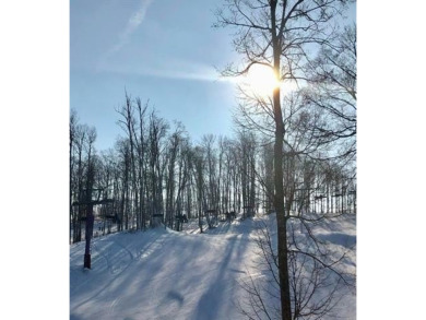 Beautiful spacious lot, on Forest Highlands, nestled in the on Cedar River Golf Course in Michigan - for sale on GolfHomes.com, golf home, golf lot