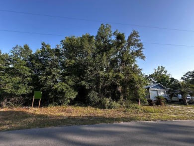 Peaceful charm of rural living, build your dream home in a on Williston Highlands Golf and Country Club in Florida - for sale on GolfHomes.com, golf home, golf lot