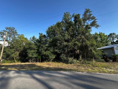 Peaceful charm of rural living, build your dream home in a on Williston Highlands Golf and Country Club in Florida - for sale on GolfHomes.com, golf home, golf lot