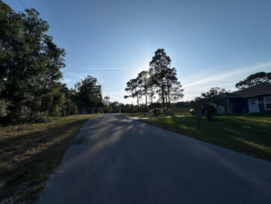 Peaceful charm of rural living, build your dream home in a on Williston Highlands Golf and Country Club in Florida - for sale on GolfHomes.com, golf home, golf lot