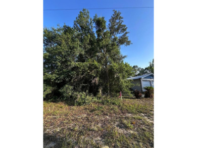 Peaceful charm of rural living, build your dream home in a on Williston Highlands Golf and Country Club in Florida - for sale on GolfHomes.com, golf home, golf lot