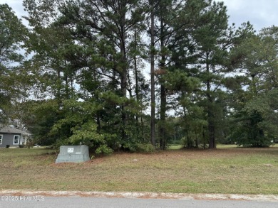 Welcome to 173 Cherry Laurel Drive, a beautiful .22-acre on River Landing Golf Course in North Carolina - for sale on GolfHomes.com, golf home, golf lot