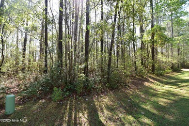 Fairfield Harbour, New Bern, NC. FANTASTIC OPPORTUNITY TO OWN on Harbour Point Golf Club in North Carolina - for sale on GolfHomes.com, golf home, golf lot