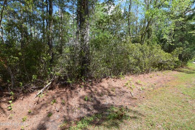 Fairfield Harbour, one of the few lots left on this great street on Harbour Point Golf Club in North Carolina - for sale on GolfHomes.com, golf home, golf lot