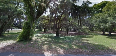 Superb, versatile 5.63-acre corner commercial development tract on Francis Lake Golf Club in Georgia - for sale on GolfHomes.com, golf home, golf lot