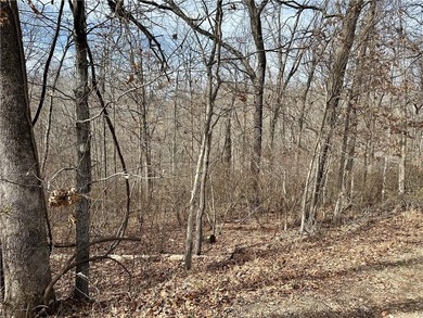 This .24-acre wooded lot offers the perfect canvas to build your on Bella Vista Country Club and Golf Course in Arkansas - for sale on GolfHomes.com, golf home, golf lot