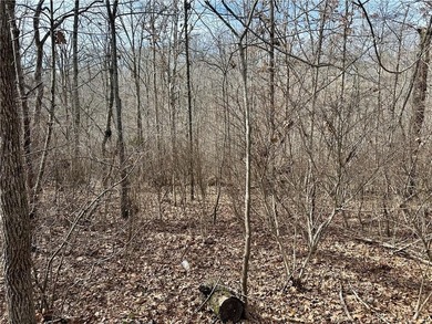 This .24-acre wooded lot offers the perfect canvas to build your on Bella Vista Country Club and Golf Course in Arkansas - for sale on GolfHomes.com, golf home, golf lot