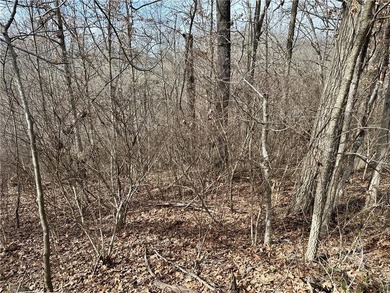 This .24-acre wooded lot offers the perfect canvas to build your on Bella Vista Country Club and Golf Course in Arkansas - for sale on GolfHomes.com, golf home, golf lot