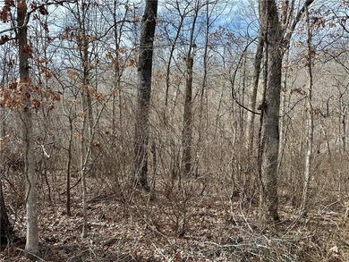 This .24-acre wooded lot offers the perfect canvas to build your on Bella Vista Country Club and Golf Course in Arkansas - for sale on GolfHomes.com, golf home, golf lot