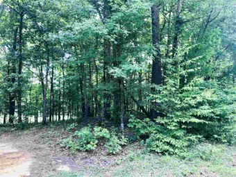 This is a beautiful lot in the secure, gated Diamondhead on Malvern Country Club in Arkansas - for sale on GolfHomes.com, golf home, golf lot