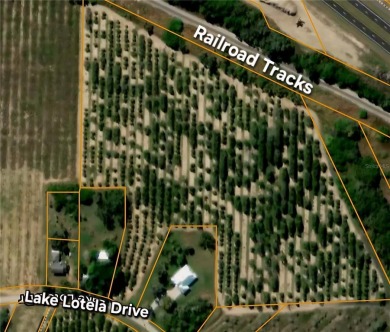 14.11 acres of open, grassy land. With a little TLC, this on Pinecrest on Lotela, Inc. in Florida - for sale on GolfHomes.com, golf home, golf lot