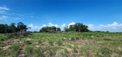 14.11 acres of open, grassy land. With a little TLC, this on Pinecrest on Lotela, Inc. in Florida - for sale on GolfHomes.com, golf home, golf lot