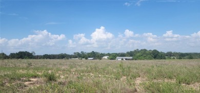 14.11 acres of open, grassy land. With a little TLC, this on Pinecrest on Lotela, Inc. in Florida - for sale on GolfHomes.com, golf home, golf lot