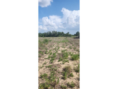 14.11 acres of open, grassy land. With a little TLC, this on Pinecrest on Lotela, Inc. in Florida - for sale on GolfHomes.com, golf home, golf lot