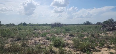 14.11 acres of open, grassy land. With a little TLC, this on Pinecrest on Lotela, Inc. in Florida - for sale on GolfHomes.com, golf home, golf lot