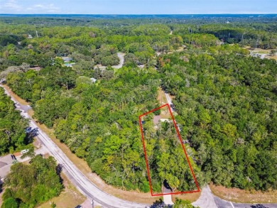 Tucked away on a VERY PRIVATE and SECLUDED .55-acre corner lot on El Diablo Golf and Country Club in Florida - for sale on GolfHomes.com, golf home, golf lot