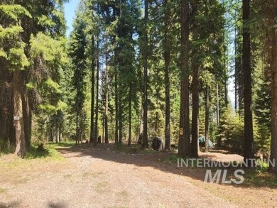 The ultimate outdoor enthusiast's dream! With two RV sites on Osprey Meadows at Tamarack Resort in Idaho - for sale on GolfHomes.com, golf home, golf lot