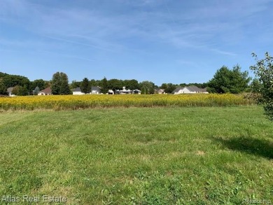 Prime Golf Course Lot on the 15th Fairway of Copper Ridge! Build on Copper Ridge Golf Club in Michigan - for sale on GolfHomes.com, golf home, golf lot