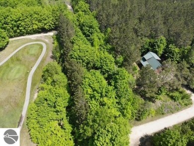 Discover the perfect blend of nature and recreation! Nestled is on Grand View Golf Club in Michigan - for sale on GolfHomes.com, golf home, golf lot