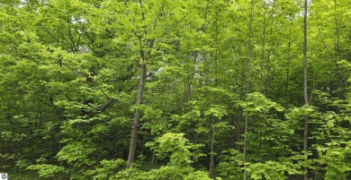 Discover the perfect blend of nature and recreation! Nestled is on Grand View Golf Club in Michigan - for sale on GolfHomes.com, golf home, golf lot