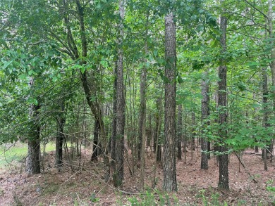 Gorgeous 6.34 acre lot in the gated community, Swift Island on The Tillery Tradition Country Club in North Carolina - for sale on GolfHomes.com, golf home, golf lot