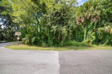 Nestled in the heart of New Smyrna Beach, this treed buildable on New Smyrna Beach Golf Course in Florida - for sale on GolfHomes.com, golf home, golf lot