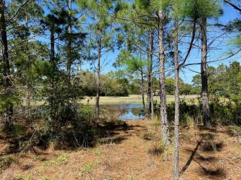 Beautiful lake front lot overlooking the tee box of hole 10 on St. James Bay in Florida - for sale on GolfHomes.com, golf home, golf lot