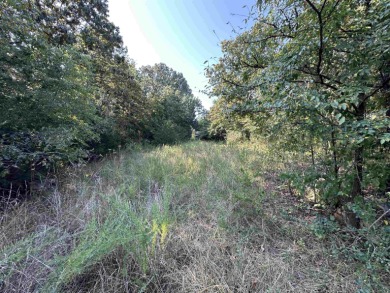 Build your dream getaway on this 3-lot, 1 acre property in on The Course At Turkey Mountain in Arkansas - for sale on GolfHomes.com, golf home, golf lot