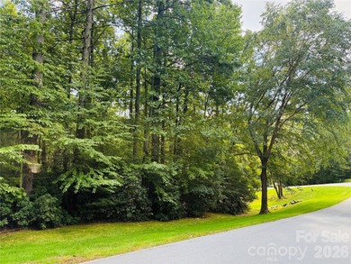 Discover the perfect canvas for your dream luxury home at 20 on Champion Hills Club, Inc. in North Carolina - for sale on GolfHomes.com, golf home, golf lot