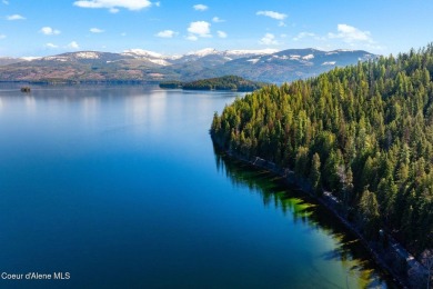 You won't want to miss this 2012 custom-built Priest Lake home! on Priest Lake Golf and Tennis Club in Idaho - for sale on GolfHomes.com, golf home, golf lot