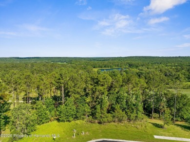 Perched high, on a serene cul-de-sac in the most prestigious on Southern Hills Plantation Club in Florida - for sale on GolfHomes.com, golf home, golf lot