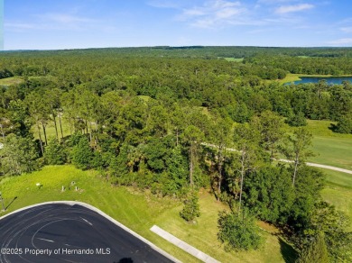 Perched high, on a serene cul-de-sac in the most prestigious on Southern Hills Plantation Club in Florida - for sale on GolfHomes.com, golf home, golf lot