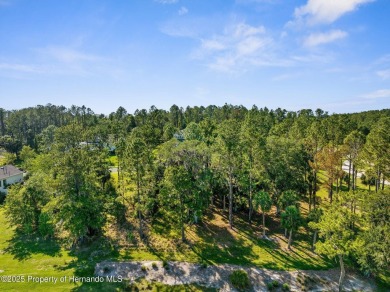 Perched high, on a serene cul-de-sac in the most prestigious on Southern Hills Plantation Club in Florida - for sale on GolfHomes.com, golf home, golf lot
