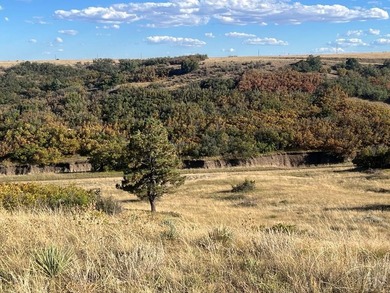 Discover your slice of Colorado paradise on this 1+ acre lot in on Hollydot Golf Course in Colorado - for sale on GolfHomes.com, golf home, golf lot