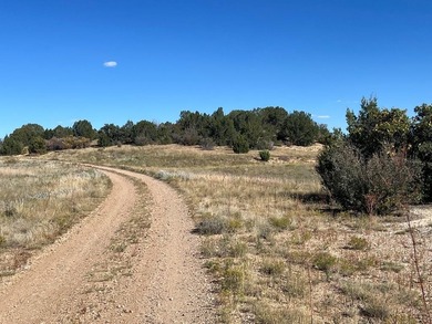Discover your slice of Colorado paradise on this 1+ acre lot in on Hollydot Golf Course in Colorado - for sale on GolfHomes.com, golf home, golf lot