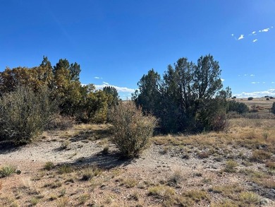 Discover your slice of Colorado paradise on this 1+ acre lot in on Hollydot Golf Course in Colorado - for sale on GolfHomes.com, golf home, golf lot