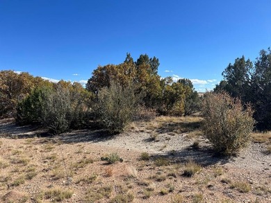 Discover your slice of Colorado paradise on this 1+ acre lot in on Hollydot Golf Course in Colorado - for sale on GolfHomes.com, golf home, golf lot