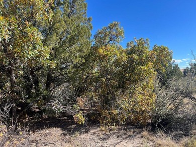 Discover your slice of Colorado paradise on this 1+ acre lot in on Hollydot Golf Course in Colorado - for sale on GolfHomes.com, golf home, golf lot