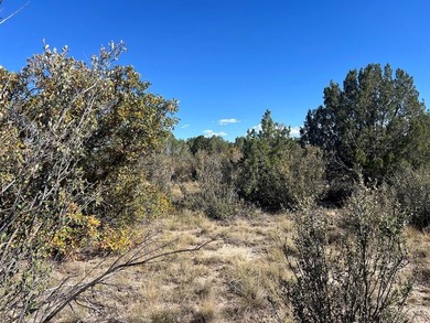 Discover your slice of Colorado paradise on this 1+ acre lot in on Hollydot Golf Course in Colorado - for sale on GolfHomes.com, golf home, golf lot