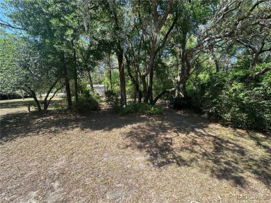 You're going to love this custom home in Citrus Springs, sitting on Citrus Springs Country Club in Florida - for sale on GolfHomes.com, golf home, golf lot