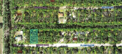 Discover your own piece of paradise in Indian Lake Estates! This on Indian Lake Estates Golf and Country Club in Florida - for sale on GolfHomes.com, golf home, golf lot
