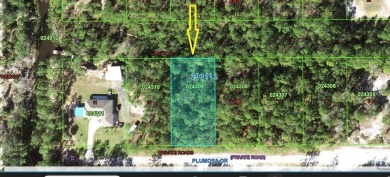 Discover your own piece of paradise in Indian Lake Estates! This on Indian Lake Estates Golf and Country Club in Florida - for sale on GolfHomes.com, golf home, golf lot