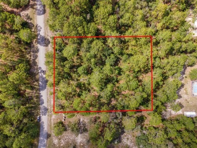 Build your dream home on this 1.12-acre oasis in Citrus Springs! on Pine Ridge Community Golf and Country Club in Florida - for sale on GolfHomes.com, golf home, golf lot