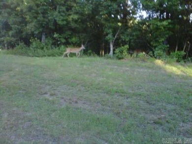 3.84 stunning acres of breath taking lakefront land! Developer on Indian Hills Country Club in Arkansas - for sale on GolfHomes.com, golf home, golf lot