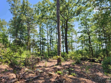 3.84 stunning acres of breath taking lakefront land! Developer on Indian Hills Country Club in Arkansas - for sale on GolfHomes.com, golf home, golf lot